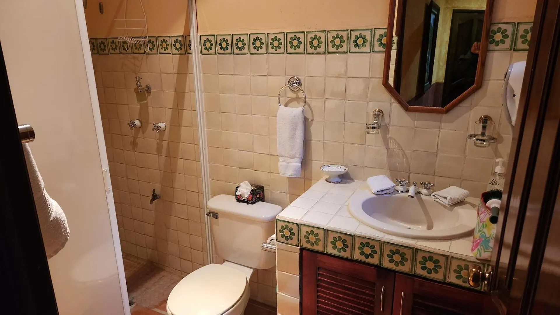 Villa Casa Colonial Estate, Cozumel